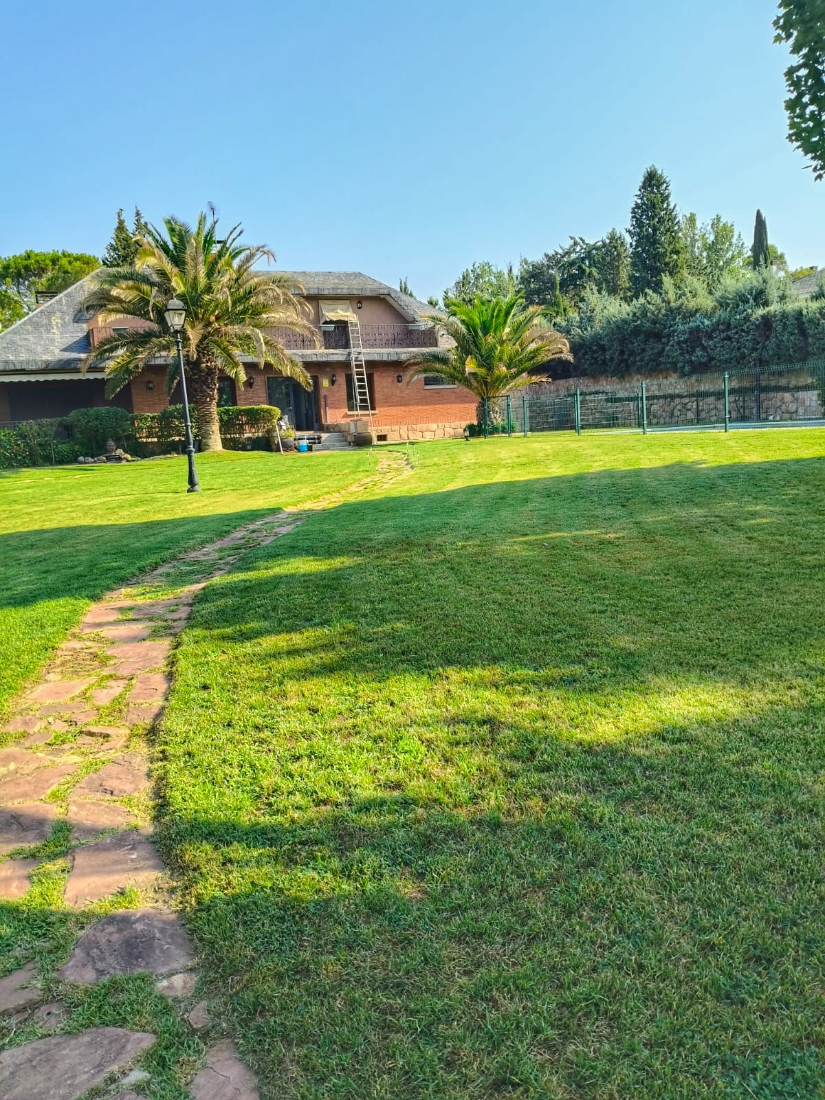 Espacio sostenible con plantas de la zona